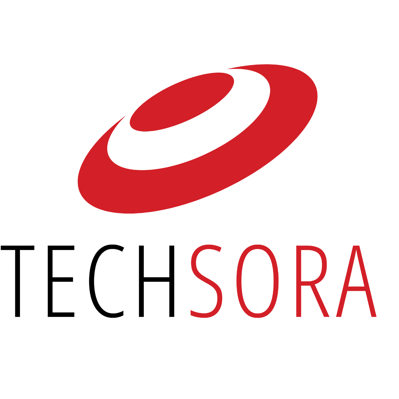 TechSora Logo